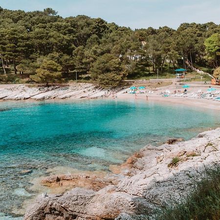Studio Apartment Pinetree - Mali Losinj Luaran gambar